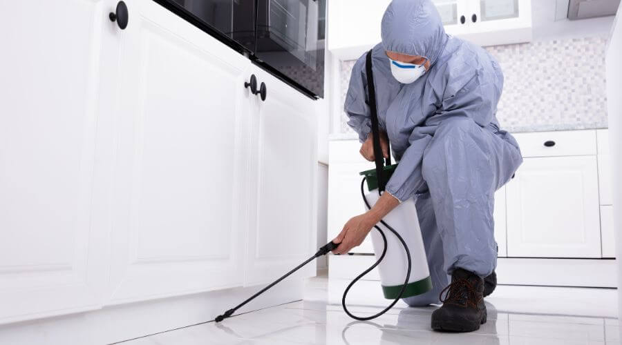 Professional mosquito fogging services in Mebane - Mebane Mosquito Fogging